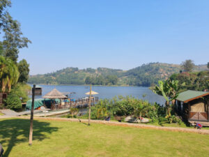 Bunyonyi